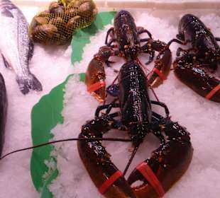 In der Markthalle - Fisch, Schnecken und Hummer