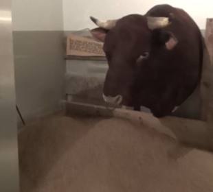 Alles für Nase und Gaumen