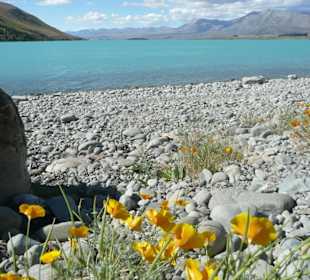 Lake Tekapo