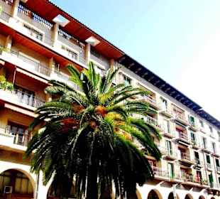 Altstadt Fassade mit Palme