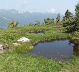 Graukogel, Zirbenerlebnisweg 
