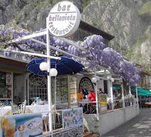 Restaurant mit Blauregen