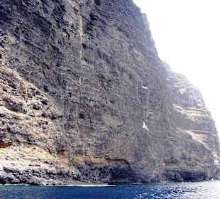 Los Gigantes