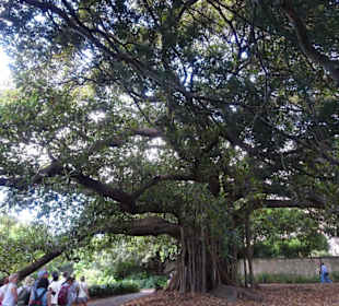 Stadtrundgang Sydney