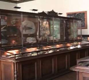 Naturhistorisches Museum