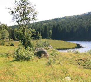Kleiner Abersee in Lohberg