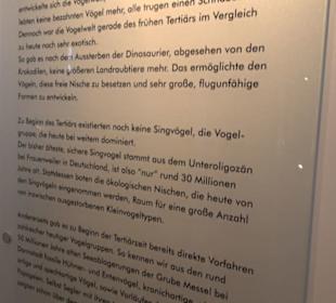Jura-Museum