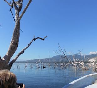 Lago Enriquillo