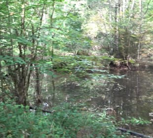 Hummelklingensee Walddorf