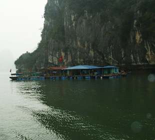 Halong Bucht/Schwimmendes Dorf