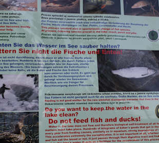 Strbske Pleso