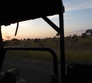 Krüger Nationalpark