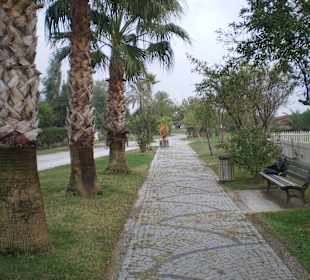 Viele verschiedene Wege