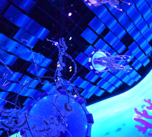 Futuristischer Themenbereich mit Fahrgeschälften