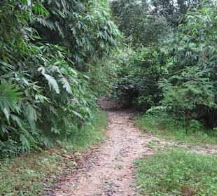 Fußweg zum Wasserfall