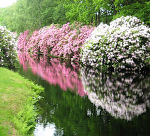 Schlosspark Lütetsburg