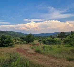 Safari Hoedspruit