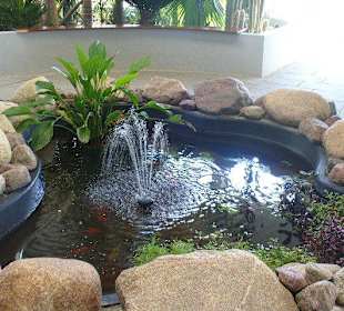 Pijalnia Wód - Palmiarnia