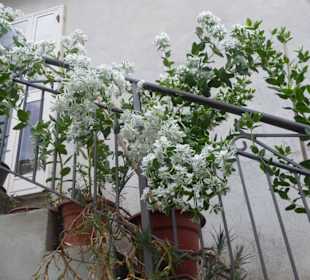 Stadtrundgang Zungri