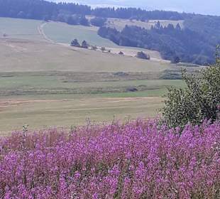 Wandern Ehrenberg (Rhön)