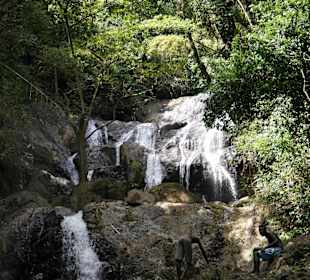Wasserfall auf Tobago