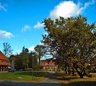 Парк Замка Ойтин. Золотая осень.