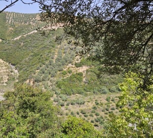 Stadtrundgang Panormos
