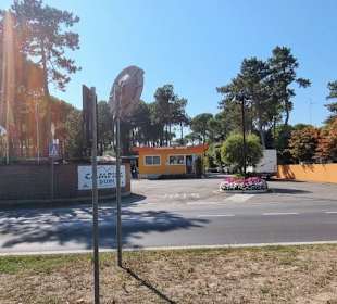 Der große ADAC Camping am Hafen