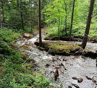Wandern Drachselsried