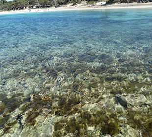Strand Es Trenc in der Nähe