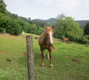 Ferme du Hungerplatz