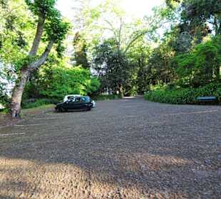 Der Parkplatz im Garten