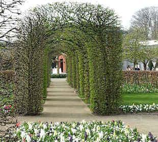 Keukenhof