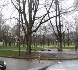 Blick über den Hofgarten