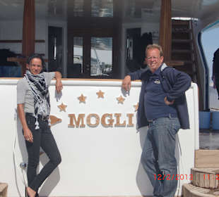 Die Beiden, die alles tun, das wir Delfine sehen