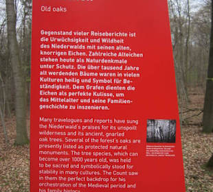 Osteinscher Landschaftspark