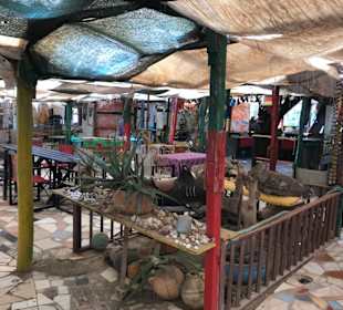 Im Restaurant Trinkender Drache