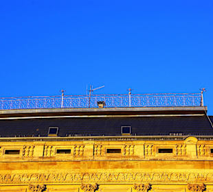 Auf dem Dach Terrasse