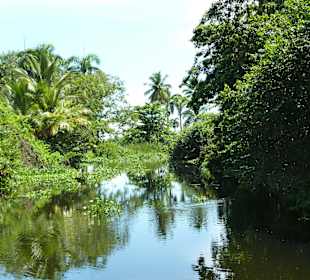 Tropical River Tour  – Oktober 2014