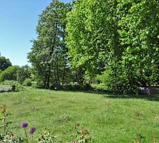 Eindrücke aus dem Alsterpark an der Außenalster