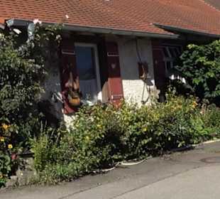 Historische Häuser der ehemaligen Gärtnerei