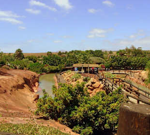 Ausflug zum Rancho Texas