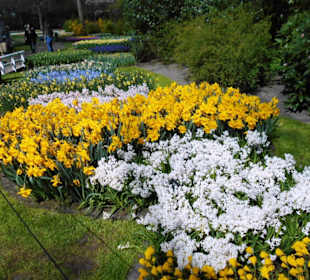 Blumenpracht im Keukenhof