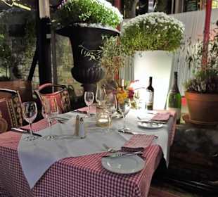 Im Wintergarten des Katzen-Cafés