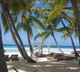 Ausflug Insel Saona VIP