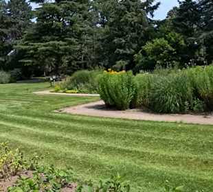 Flora und Botanischer Garten