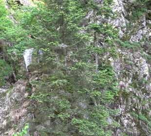 Klosterruine Allerheiligen