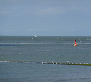 Ausflug