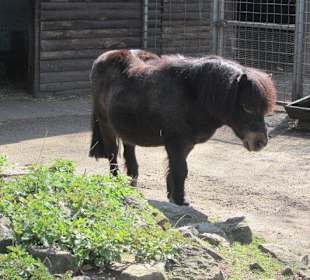 Vogelpark Graben-Neudorf