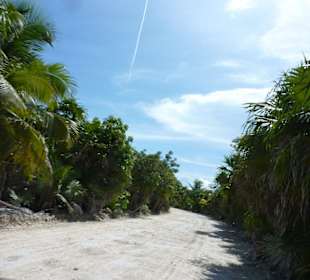 Punta Allen